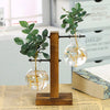 Pots en verre et bois modernes avec feuillage vert, présentés sur un support.