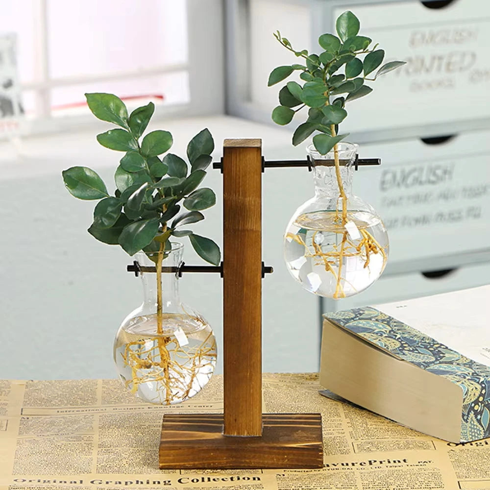 Pots en verre et bois modernes avec feuillage vert, présentés sur un support.