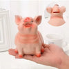A hand holds an adorable pink piggy bank figurine, with a smaller version shown in a circular inset.
