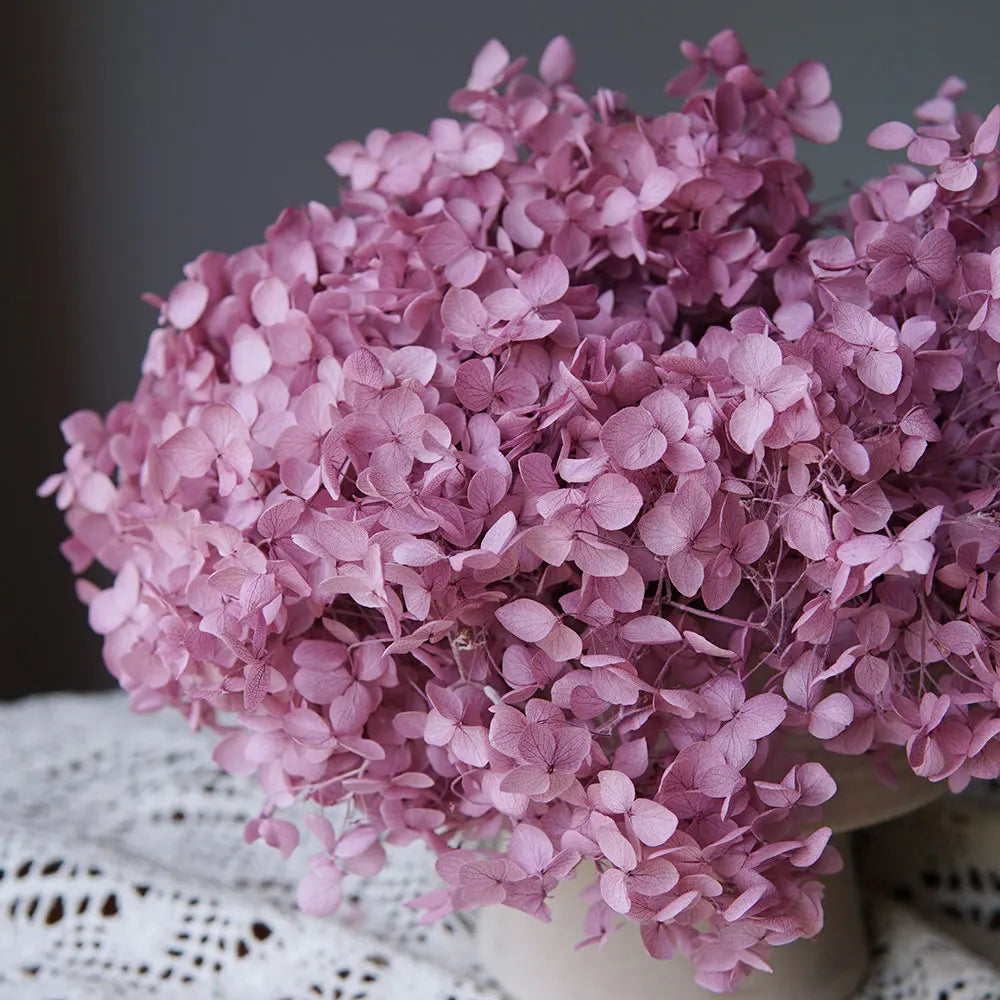 A large bouquet of pink dried hydrangea flowers in a light colored vase on a white lace cloth.