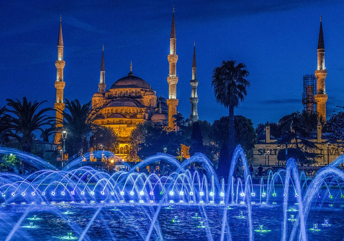 Night view of a mosque with minarets and a fountain display.