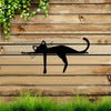 A silhouette of a cat is displayed on weathered wooden planks with green vines above and grass below.
