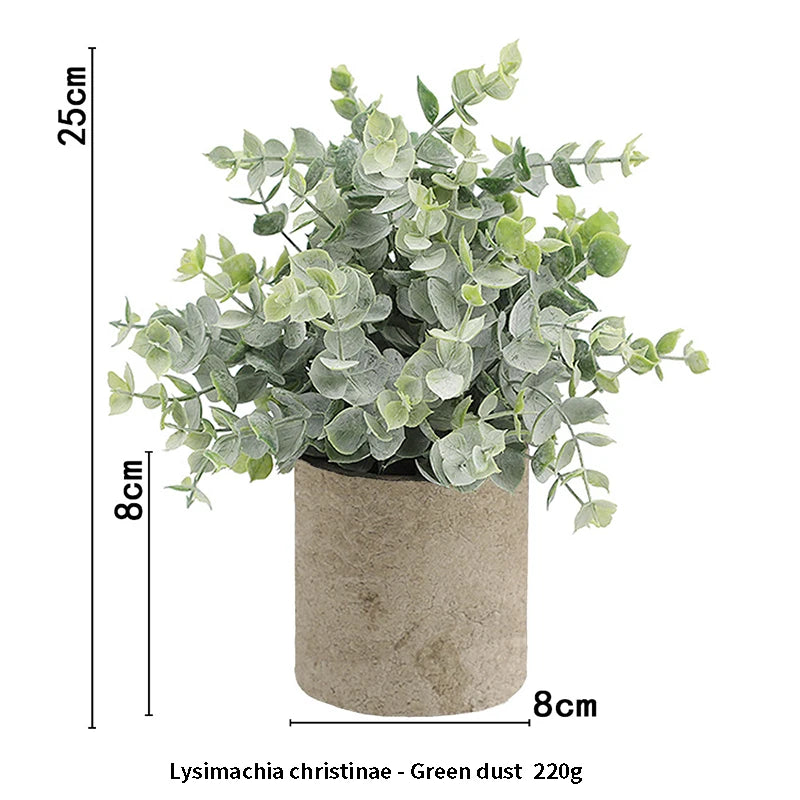 A lush green dust plant in a rustic gray pot, measuring 25cm high.