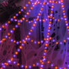 A close-up of a giant spider web illuminated by glowing purple and orange LED string lights.