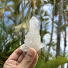 A hand holds a clear quartz crystal cluster against a tropical palm tree background.