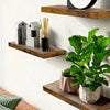 Wooden floating wall shelves displaying decorative items like birdhouses and a potted plant.