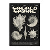 Black canvas wall art featuring a stylized spiral design with the title Sacred Spiral