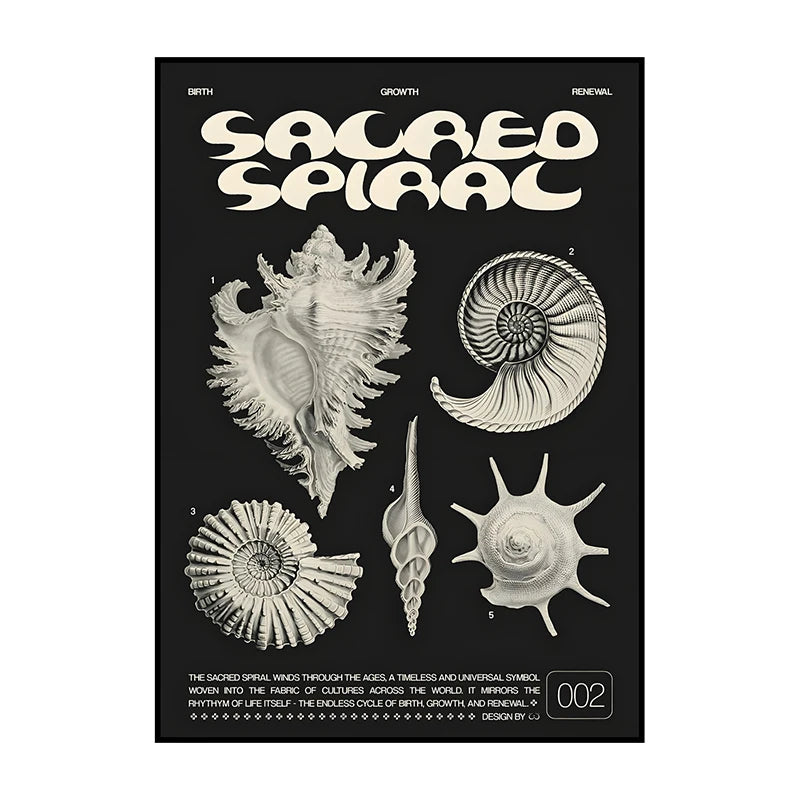 Black canvas wall art featuring a stylized spiral design with the title Sacred Spiral