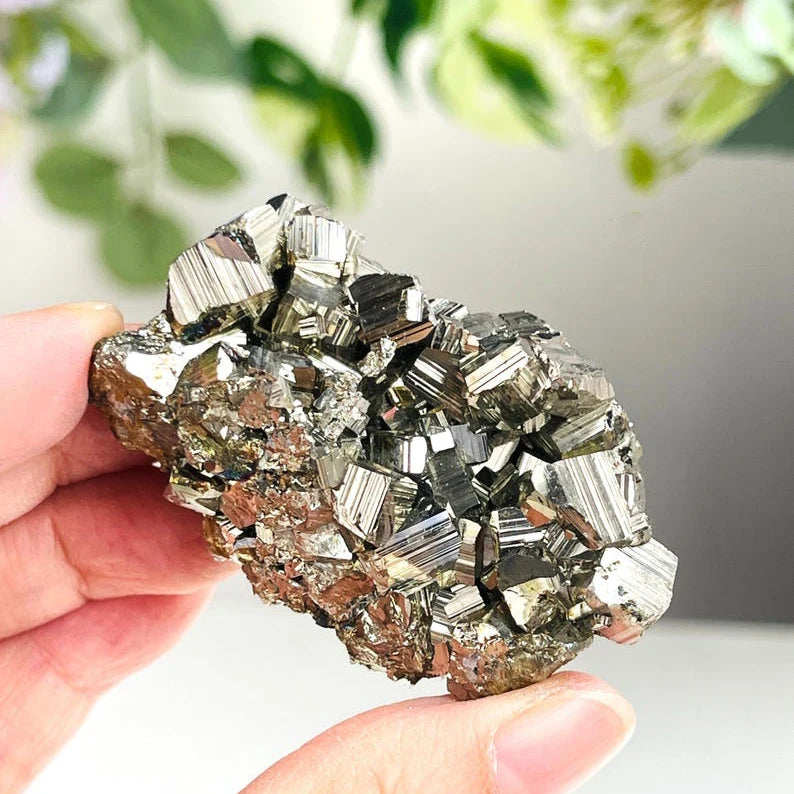 A hand holds a cluster of sparkling metallic pyrite crystals against a blurred green background.