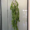 Artificial hanging ivy vine displayed vertically against a glass panel with a measurement scale.
