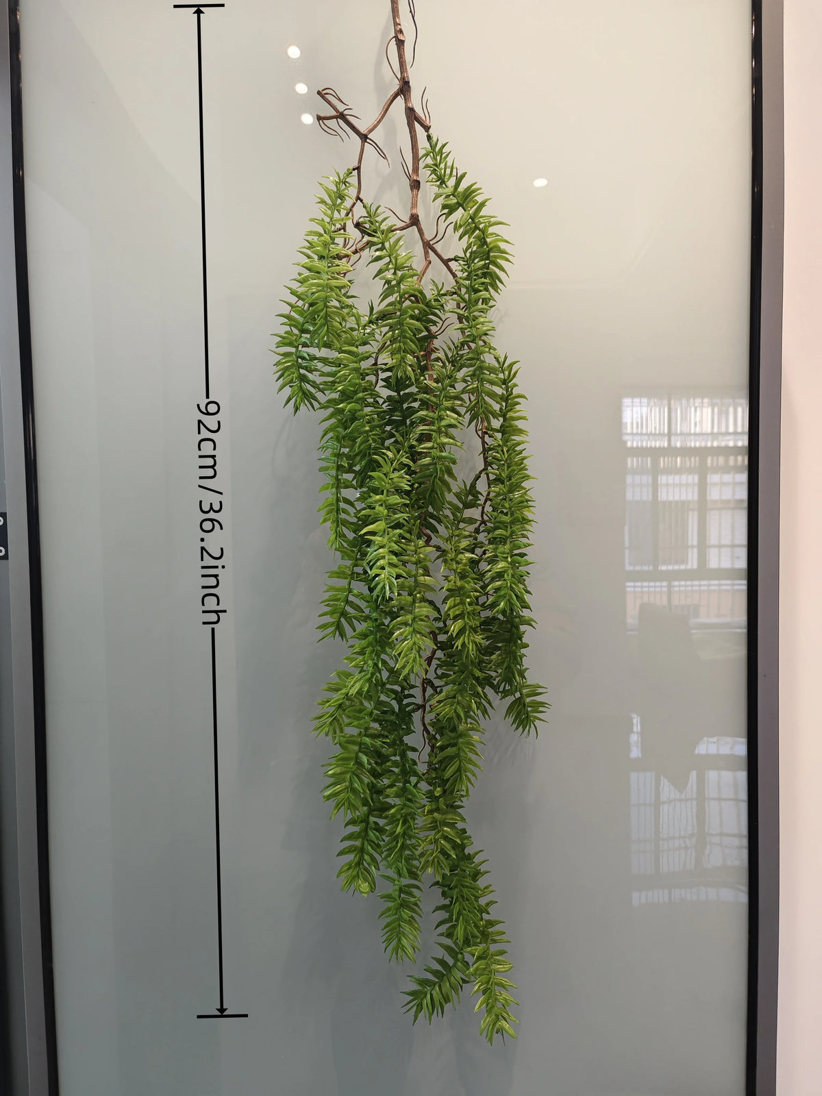 Artificial hanging ivy vine displayed vertically against a glass panel with a measurement scale.