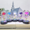 Five glass domes display eternal roses with colorful LED lights set against a backdrop of a church building