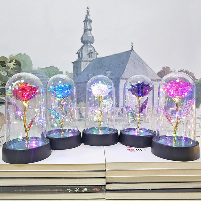 Five glass domes display eternal roses with colorful LED lights set against a backdrop of a church building