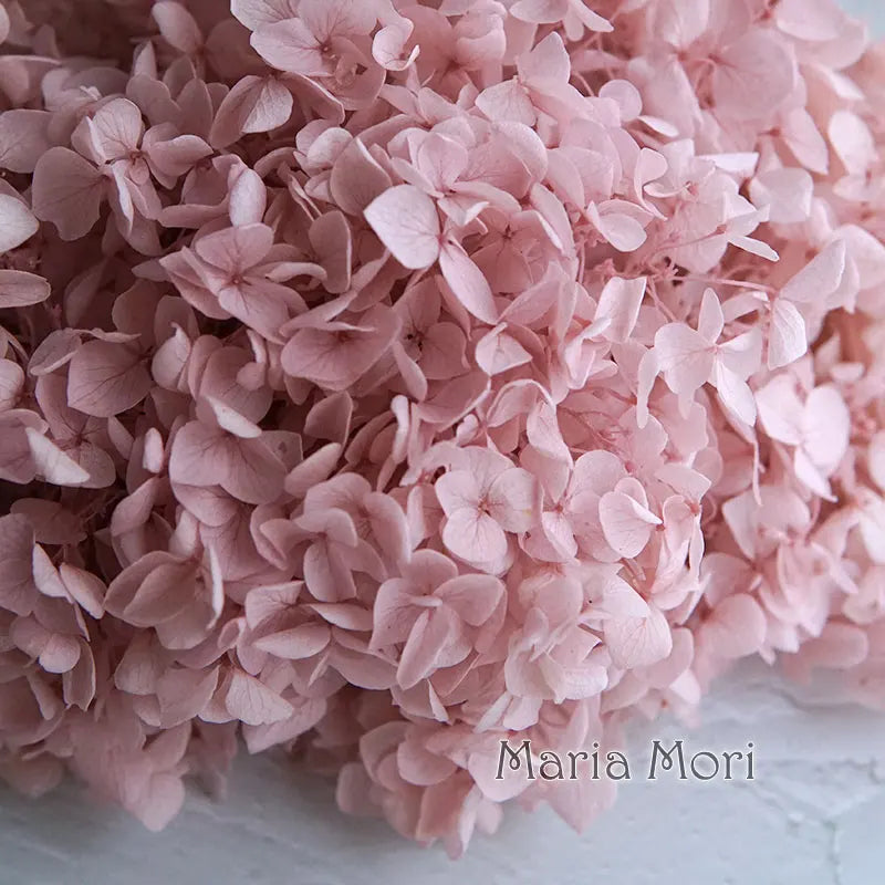 A close-up of pink dried hydrangea florets used for home decor