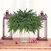 Artificial Norfolk Pine Branches – Realistic Evergreen Stems for Indoor Decor