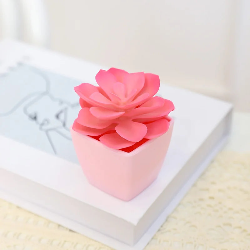 A pink succulent plant in a white square pot displayed on a white box.