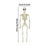 A white poseable human skeleton decoration measuring 40cm with movable bones.