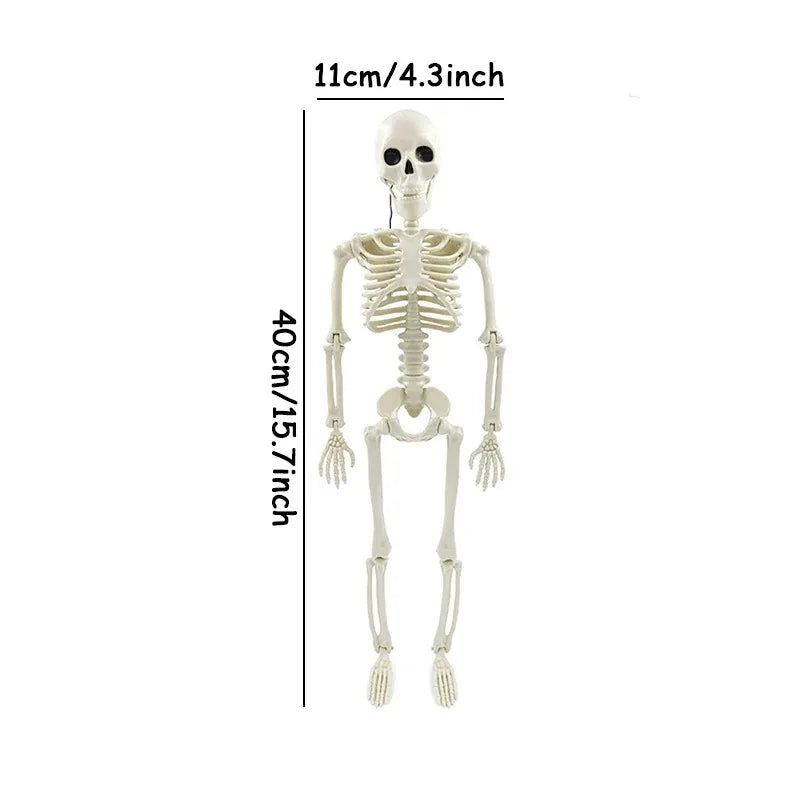 A white poseable human skeleton decoration measuring 40cm with movable bones.