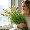 A woman holds a bundle of eight artificial grass stems with feathery tips against a window background.