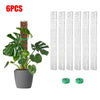 Six pieces of white plastic moss pole plant support for climbing plants with green plant cuttings.