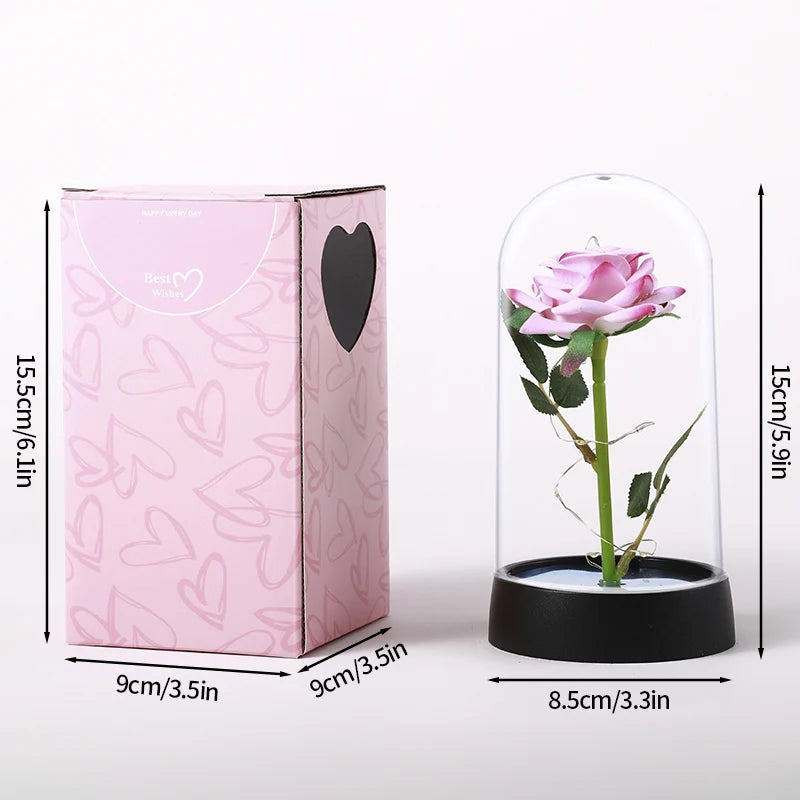 A pink box containing an eternal rose in a clear glass dome on a black base.