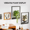 A versatile plant display featuring various framed plants and succulents on a white wall.