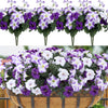 A close-up of artificial petunia flowers in purple and white with vines arranged in a basket.