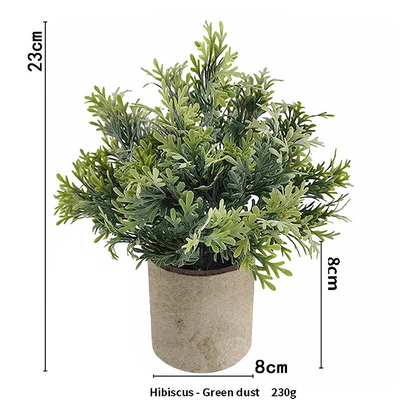 A potted Hibiscus plant with green dust foliage in a rustic brown pot.