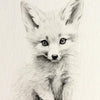 A detailed pencil drawing of a small, fluffy fox kit looking directly at the viewer.
