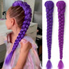 A close-up of a girl with purple braided hair, showing the long purple braided ponytail hairstyle.