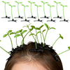 Green bean sprout hair clips with grass tops arranged in a row.
