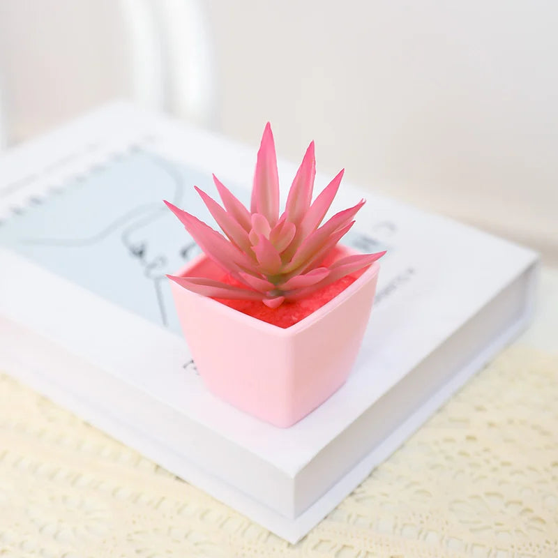 A pink succulent plant is displayed in a white square planter on a white box.