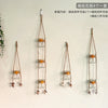 Three hanging decorative glass terrariums with small plants suspended by twine