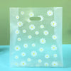 Clear plastic gift bags with a white daisy print pattern on a light green background