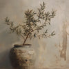 A potted olive tree sits in a ceramic vase against a textured wall.