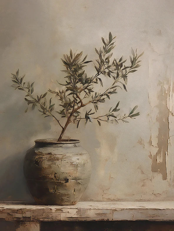 A potted olive tree sits in a ceramic vase against a textured wall.