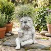 Statue en résine grise d'un bouledogue français avec des feuillages verts hérissés, assis sur une dalle de pierre.
