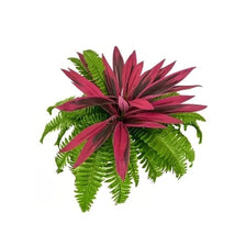 Artificial Dracaena Boston Fern with realistic magenta and green leaves