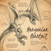 A detailed pencil drawing of a Hungarian Horntail dragon, showing its anatomy and features.