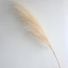 A long, feathery, beige pampas grass stem used for boho home decor or centerpieces.