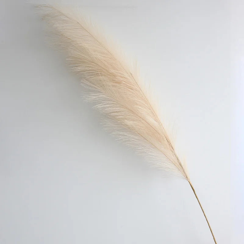 A long, feathery, beige pampas grass stem used for boho home decor or centerpieces.