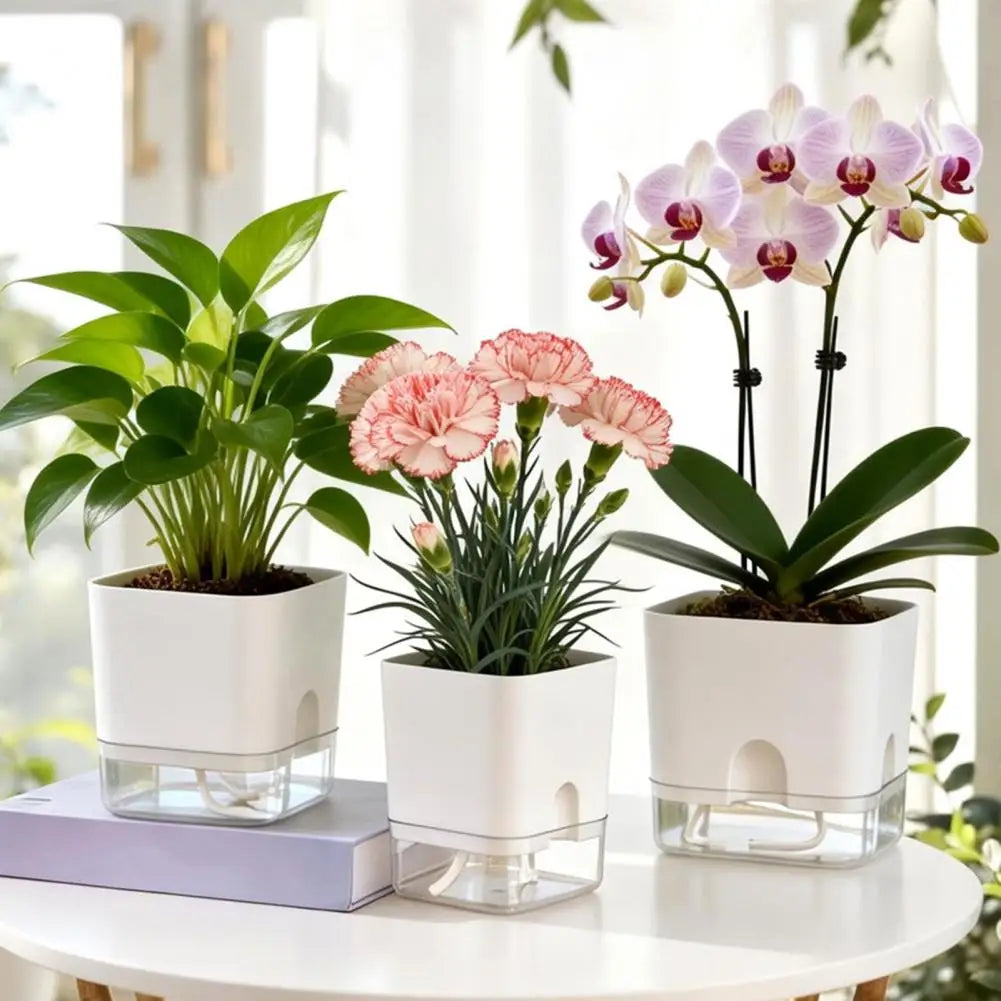 A white self-watering planter holds pink orchids on a glass base, displayed indoors.