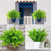Two artificial Boston ferns in blue pots displayed on a white stucco wall and a potted fern on a wooden shelf.