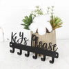A modern wall-mounted black metal key holder with hooks displaying a white fluffy object and green foliage.