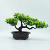 A small artificial bonsai tree with vibrant green needles is planted in a dark pot.