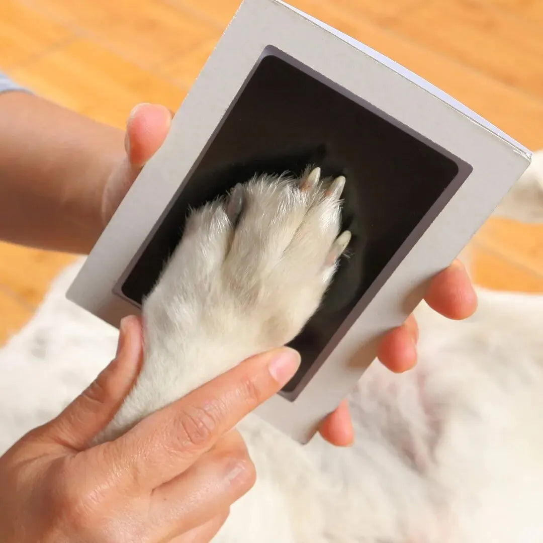 A hand holds an inkless pet paw print keepsake kit, showing a white paw print inside the frame.