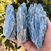 A hand holds a vertical, blue-gray natural kyanite crystal stone against a blurred green background.