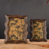 A vintage resin photo frame decor with an ornate, distressed gold-toned frame and a dark botanical print.
