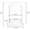 Clear glass cloche terrarium with a wooden base shown in profile view.