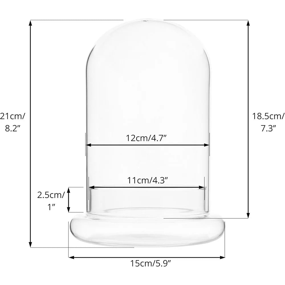 Clear glass cloche terrarium with a wooden base shown in profile view.
